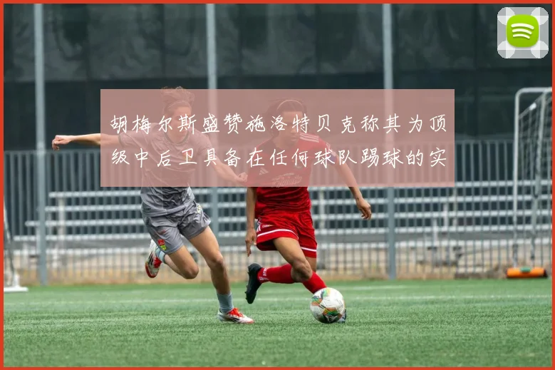 胡梅尔斯盛赞施洛特贝克称其为顶级中后卫具备在任何球队踢球的实力