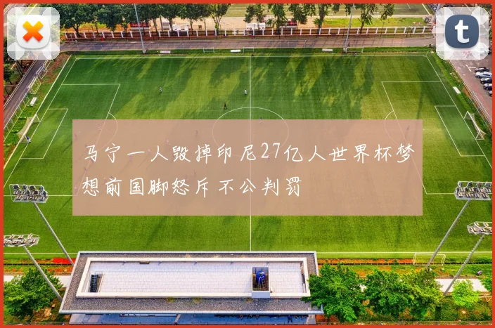 马宁一人毁掉印尼27亿人世界杯梦想前国脚怒斥不公判罚