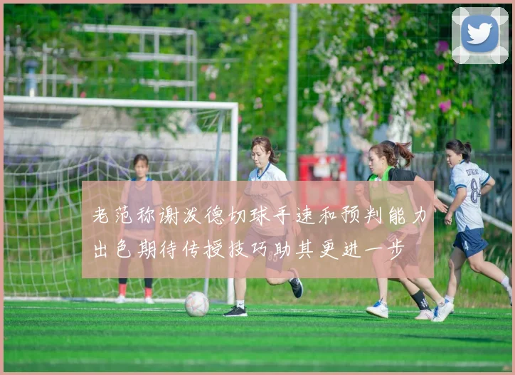 老范称谢泼德切球手速和预判能力出色期待传授技巧助其更进一步